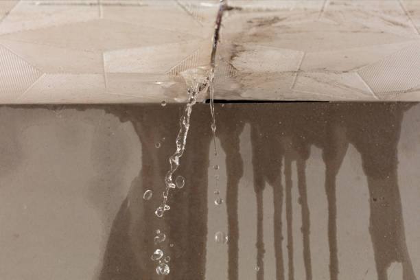 Professional Burst Pipe Cleanup technician working in Webster, MA